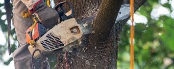 Best Utility Line Clearance  in Chelsea, OK