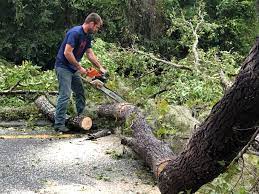 Best Utility Line Clearance  in Chelsea, OK