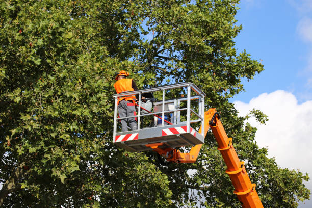 Best Tree Trimming and Pruning  in Chelsea, OK