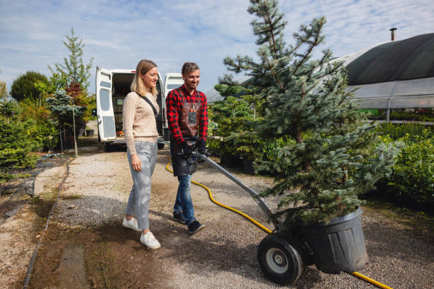 Best Storm Damage Tree Cleanup  in Chelsea, OK